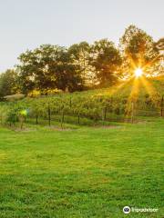 Cave Hill Vineyard & Winery LLC