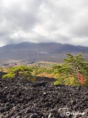 Yakehashiri Lava Flow