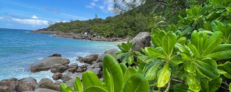 Anse Major