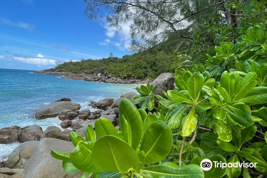 Anse Major