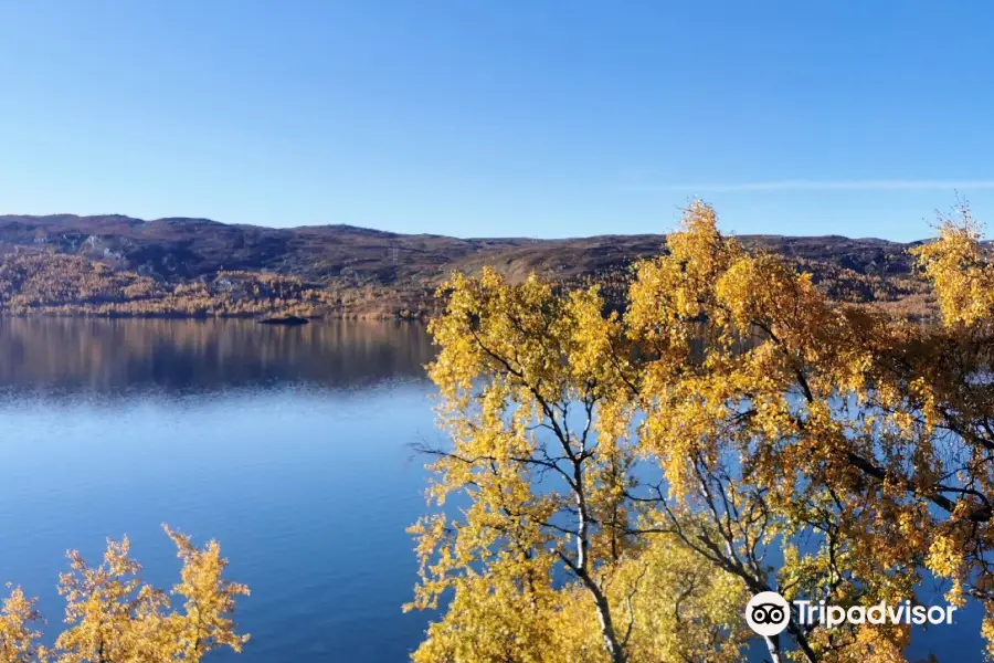 Bergen to Oslo Train Ride