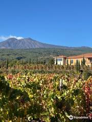 Vivera Etna Winery