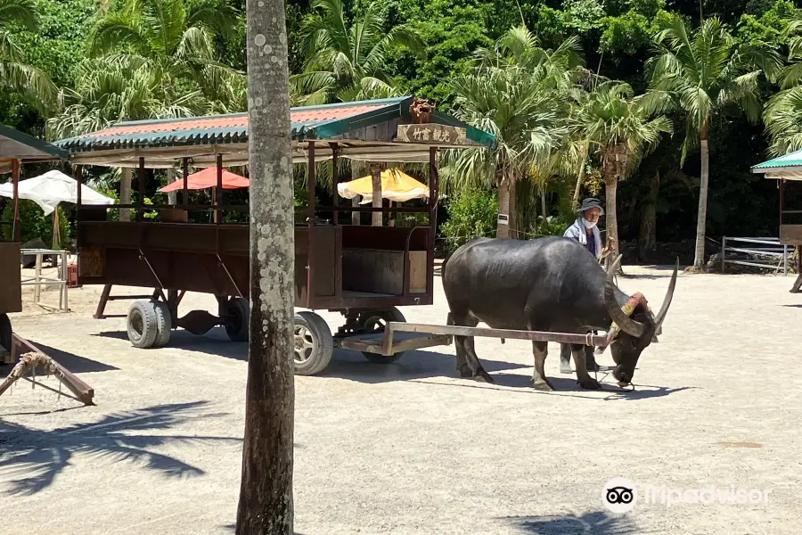 Taketomi Tourist Center