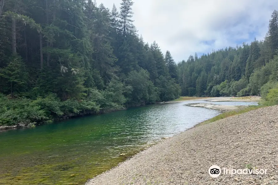 Gualala River Redwood Park