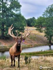 Wild Animal Safari - Springfield/Strafford, Missouri