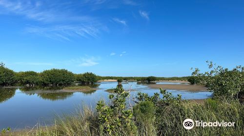 Ten Thousand Islands  National Wildlife Refuge