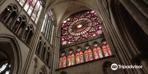 特魯瓦主教座堂