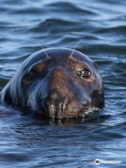 Blue Claw Boat Tours LLC