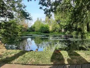 オリフスキ im. アダマ・ミツキエビツァ公園