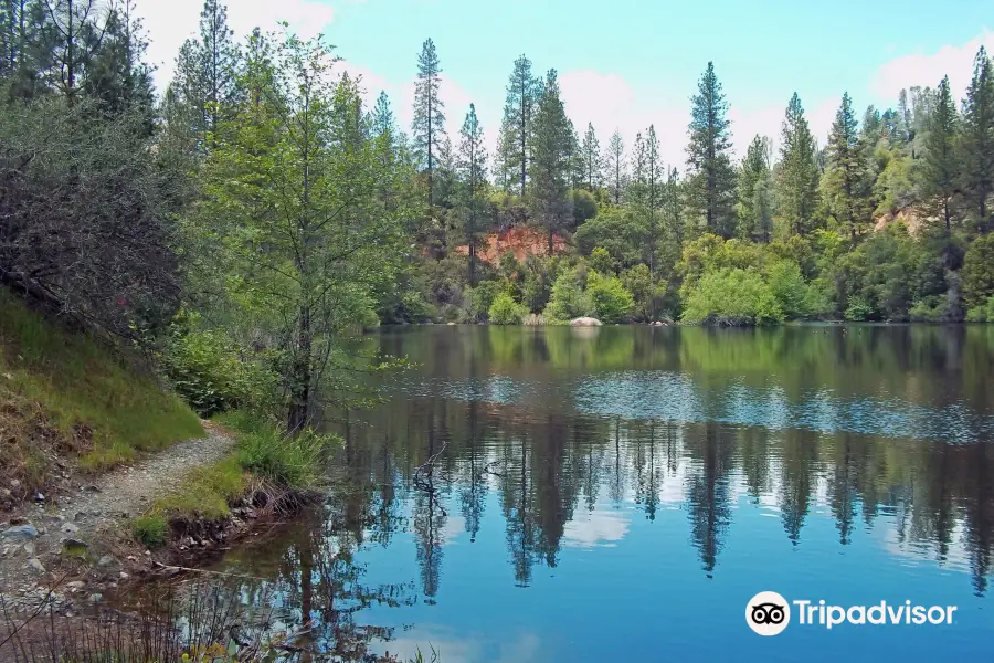 Hirschman's Pond Trail