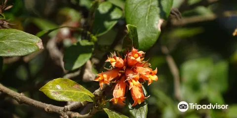 Queen Elizabeth Park