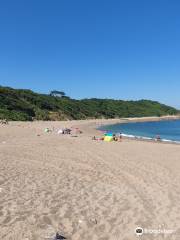 Plage de Lafitenia