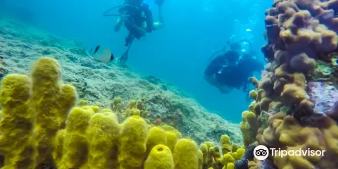 Triton Scuba Diving Centre Halkidiki