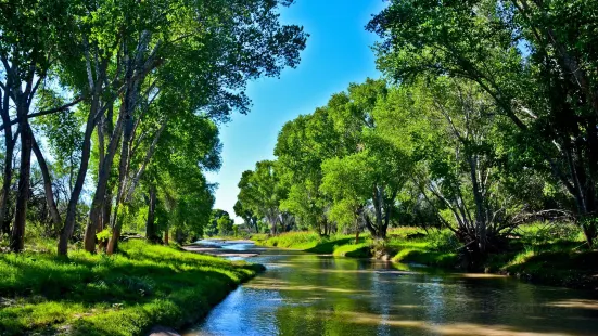 San Pedro Riparian National Conservation Area