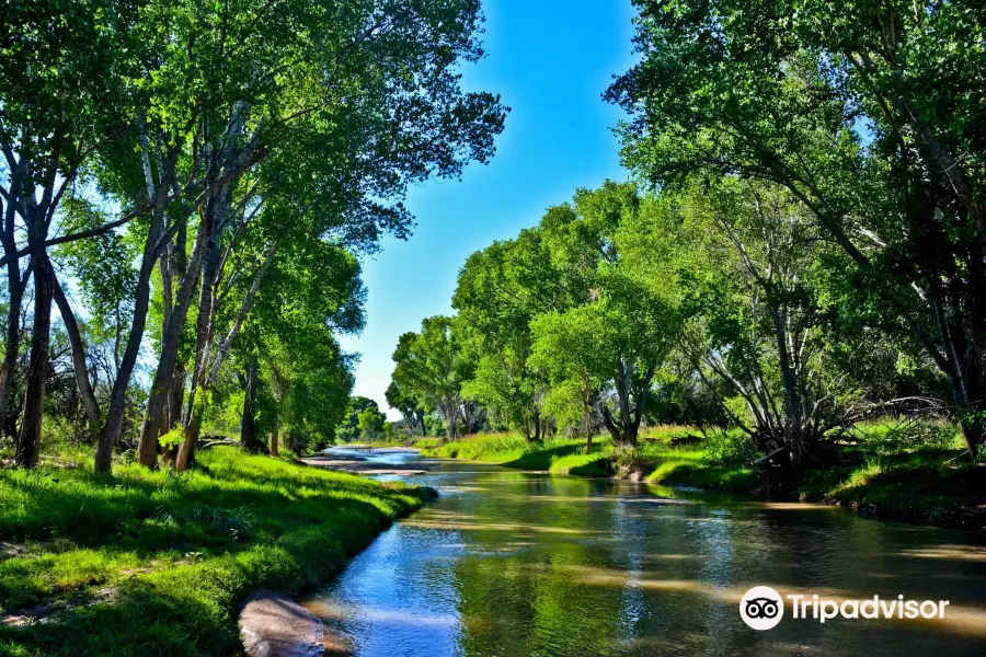 San Pedro Riparian National Conservation Area