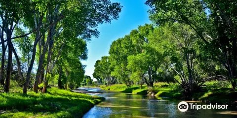 San Pedro Riparian National Conservation Area