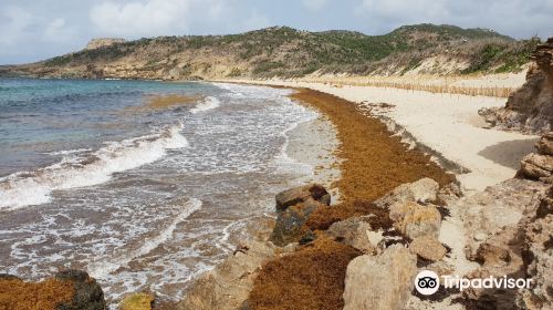 Grande Saline Beach