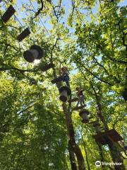 Adrenalin park Kringa