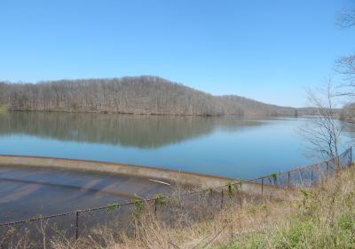 Yellowwood State Forest