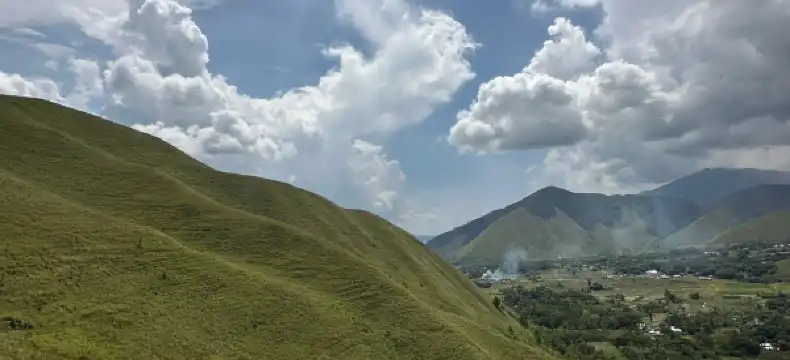 Hoteles en Simanindo