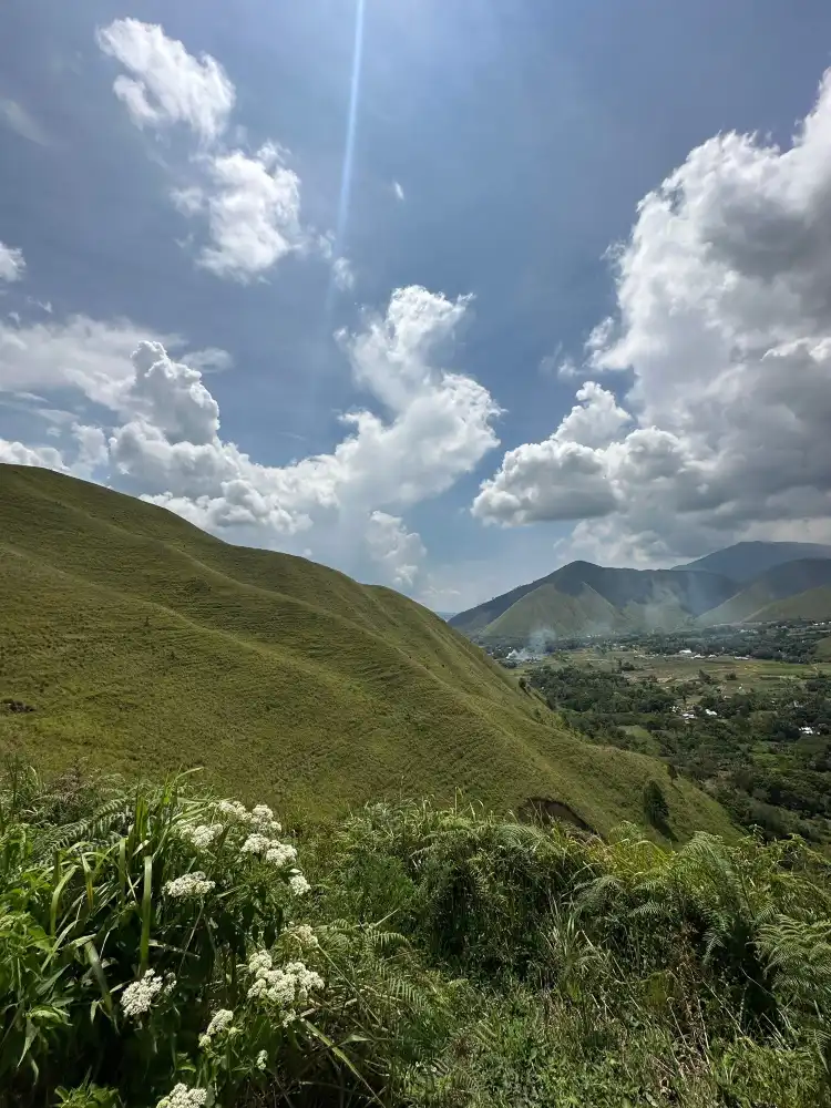 Simanindo