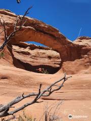 Tapestry Arch