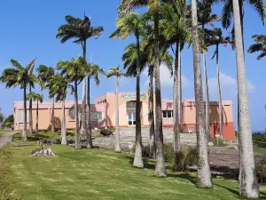 Edgar Clerc Caribbean Heritage Museum