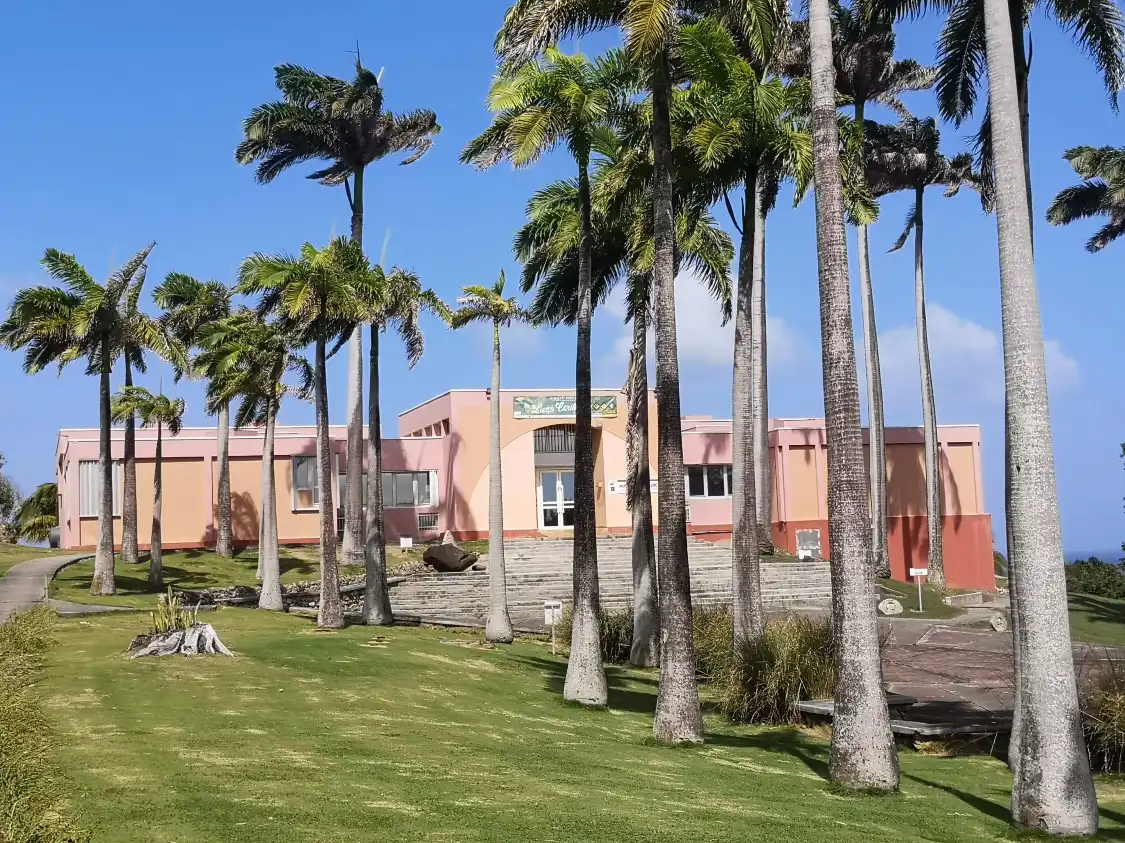 Hotels near Edgar Clerc Caribbean Heritage Museum