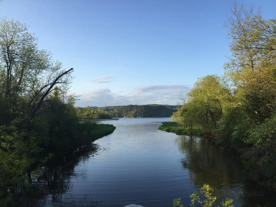 Dominion Park Beach附近的飯店