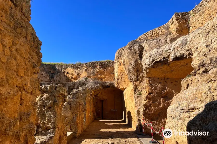 Roman Necropolis