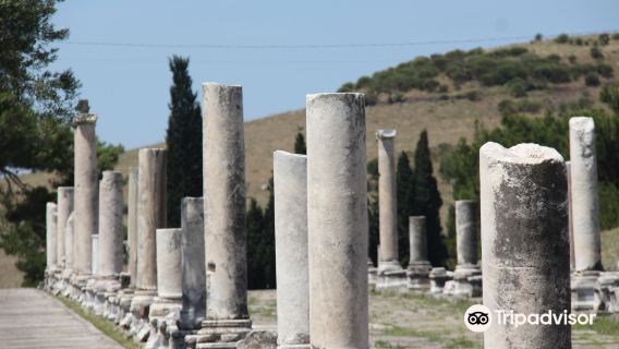 Pergamon Ancient City
