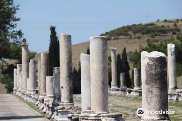 Pergamon Ancient City