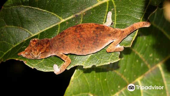 V.O.I.M.M.A. Community Reserve