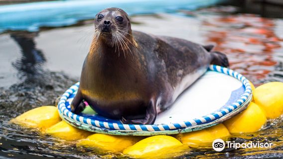 Murmansk oceanarium