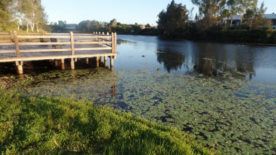 Lake Eden