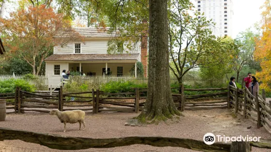 圖裡·史密斯農場 Tullie Smith Farm