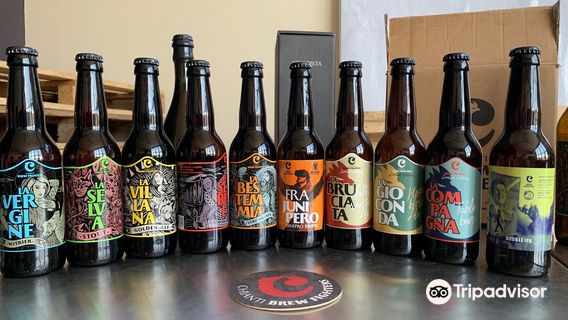 Chianti Brew Fighters