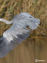 Alan Hersey Nature Reserve