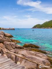 Wow Koh Tao