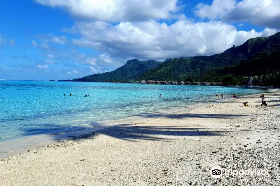 Plage de Temae