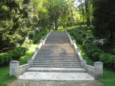 Mtsvane Kontskhi