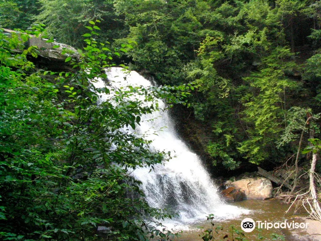 2_Swallow Falls State Park