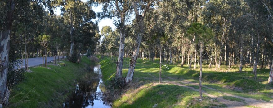 Sasali Picnic Area