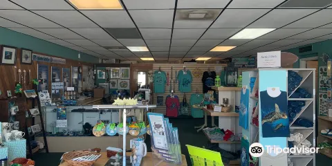 Sea Turtle Preservation Society