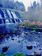 River Dodder