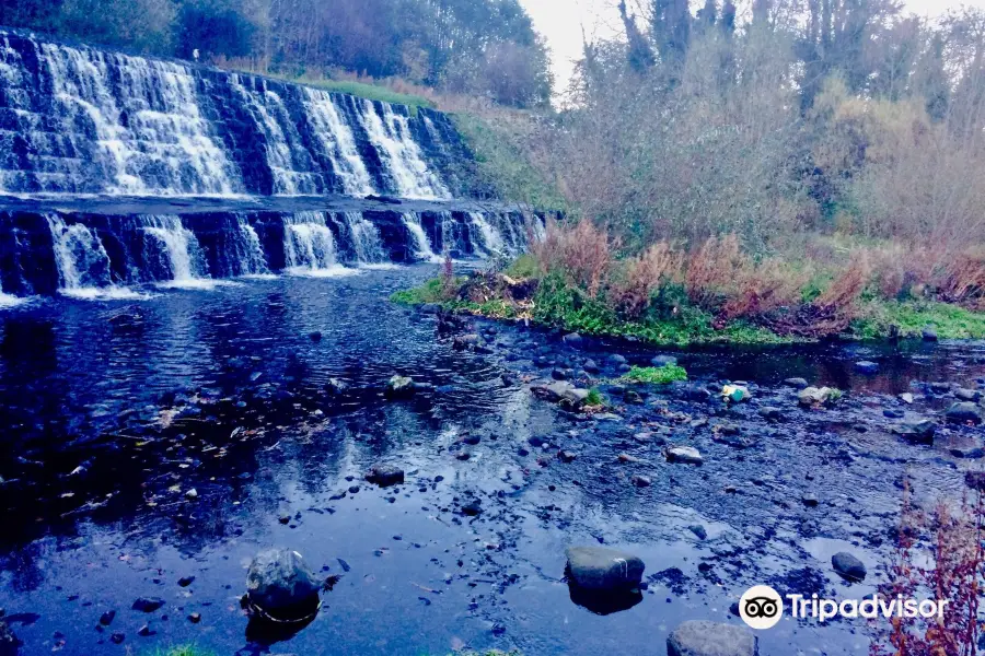 River Dodder