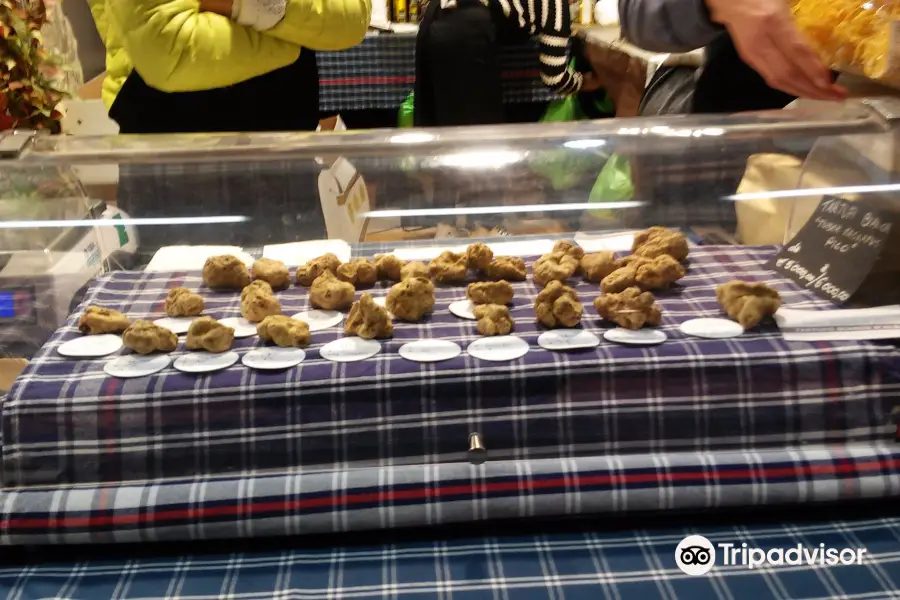 International Alba White Truffle Fair