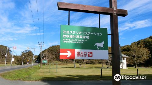 Shadai Stallion Station