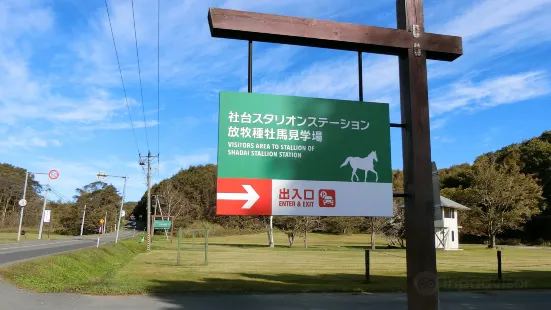 社台スタリオンステーション