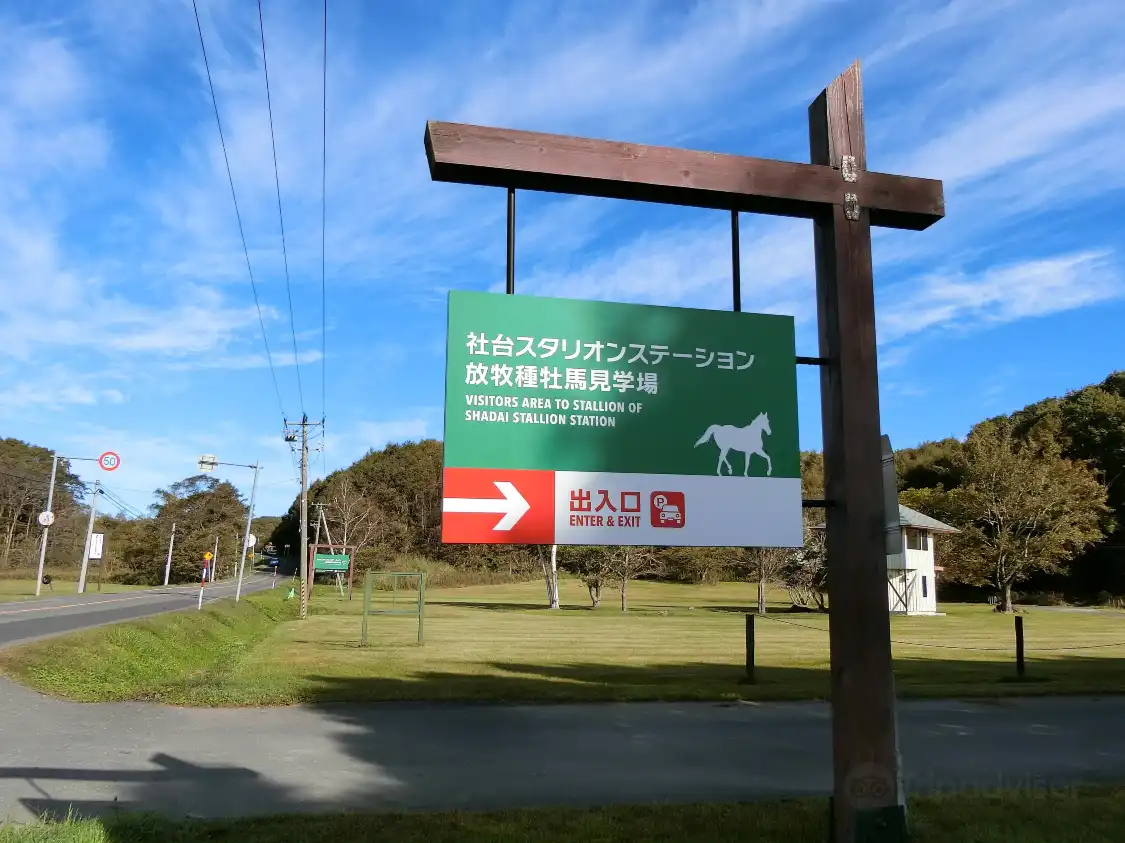 Hotel in zona Shadai Stallion Station